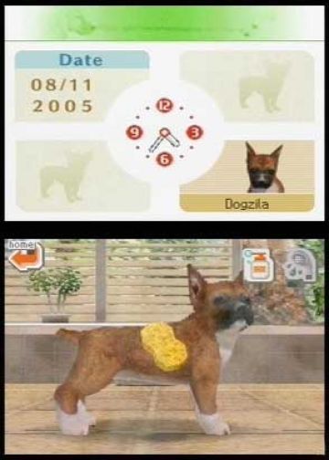Immagine -9 del gioco Nintendogs: Labrador and Friends per Nintendo DS